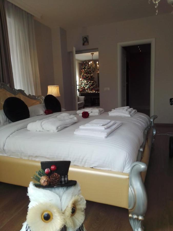 Hôtel Casa Maria Roses à Rîşnov Extérieur photo