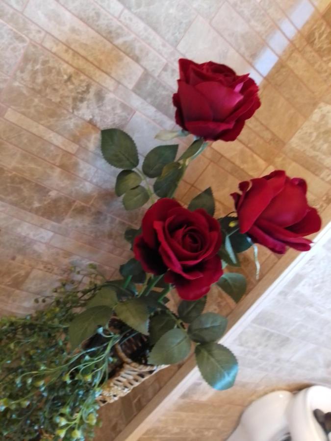 Hôtel Casa Maria Roses à Rîşnov Extérieur photo