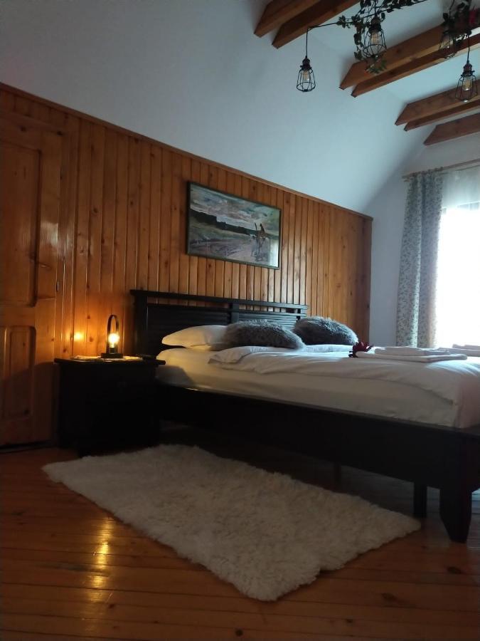 Hôtel Casa Maria Roses à Rîşnov Extérieur photo
